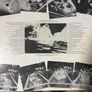 The Boomtown Rats vinyl lp Irish pressing Image 3