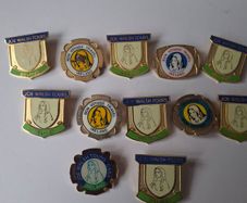 12 x Vintage 1970's,  80's  Joe Walsh Irish Tours Badges
