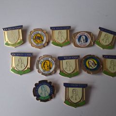 12 x Vintage 1970's,  80's  Joe Walsh Irish Tours Badges