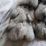 Furry Jacket Image 2