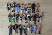 25 WWE Figures