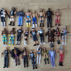 25 WWE Figures