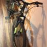 Hi-Fly 29 Mountain Bike  Black/Green 21 Gears Image 2