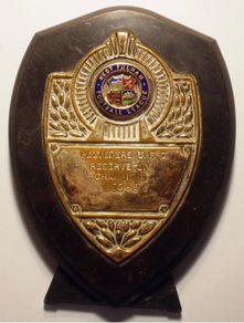 Medal West Fulham 1955-1956 125/94mm