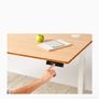 Fully Jarvis bamboo contour standing/sitting desk Image 3