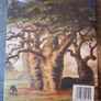 Thomas Pakenham / The Remarkable Baobab / 2004 Image 2