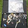 Mix Lot of Circuit Board Microchips Transistors Diodes Inductors Capacitors Image 3