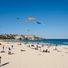 Paddyonbondi 