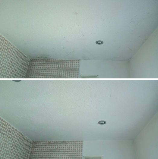 Professional Painting & Handyman Service - Dublin
