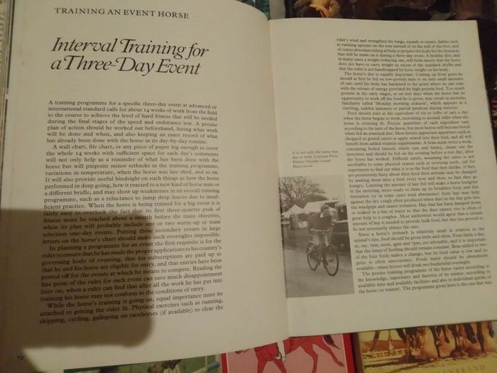 Horse / Equestrian Books