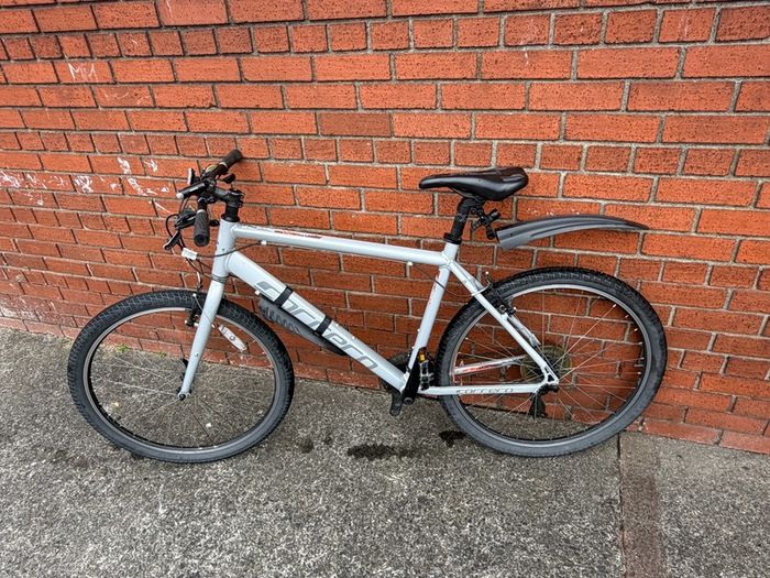 carrera mountain bike