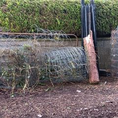 Sheep wire