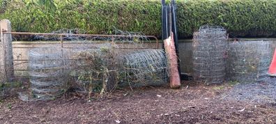 Sheep wire