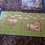 4 great books, each with a collection of stories Image 8