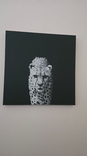 Painting canvas black and white