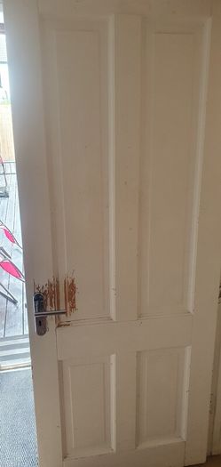 Pine doors