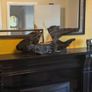Bog Oak Galway Hooker Image 4