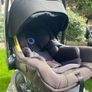 Bugaboo Turtle Air by Nuna Car Seat PLUS 360 Wingbase 2026 Image 2