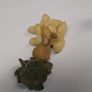Squirrel Image 2