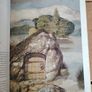 Vintage 1979 Faeries Book - Alan Lee Cover Variant (Pan Books First Printing) Image 7