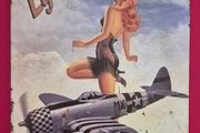 P-47, WW2 American pin up, vintage style metal sign .