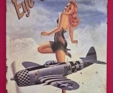 P-47, WW2 American pin up, vintage style metal sign .