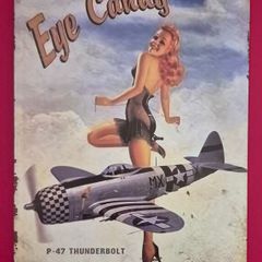 P-47, WW2 American pin up, vintage style metal sign .
