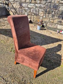 Dining Chairs