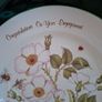 Shannon Bridge engagement plate Image 3