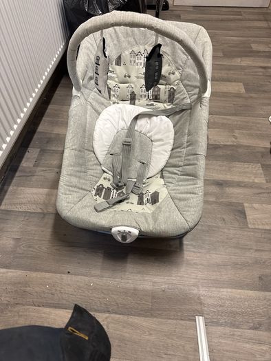 Baby Bouncer