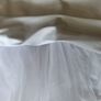 wedding Image 8