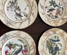 Royal Worcester James Audubon Birds