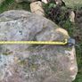 landscape decorative stones Image 5