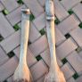 Antique Wooden Spoons Image 2