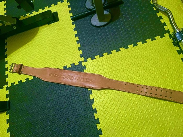 Golds gym weight belt