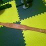 Golds gym weight belt Image 3