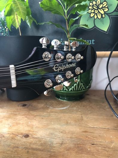 Rare Epiphone  VIII Mandobird ! (8 string mandolin)