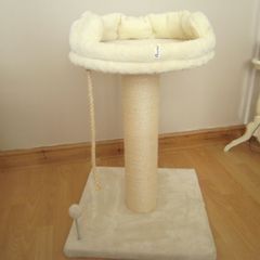 Cat Hut
