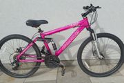 24 inch carera bike