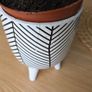 Plant pot Image 2