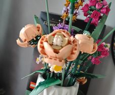 LEGO Botanicals Flower Sets
