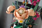 LEGO Botanicals Flower Sets