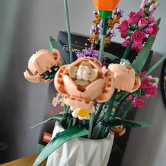 LEGO Botanicals Flower Sets