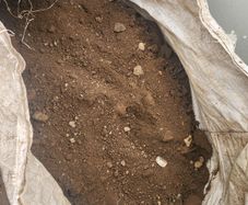 Free Top Soil