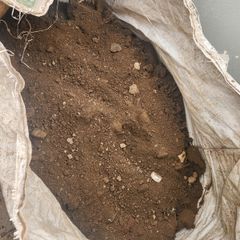 Free Top Soil