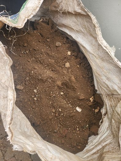 Free Top Soil