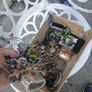box of costume jewellery Image 2