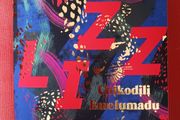 Dazzling / Chikodili Emelumadu/ 2023/ Uncorrected proof