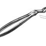Dental Extracting Forceps Image 5