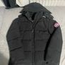 canada goose Image 5
